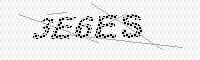 captchaImage