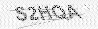 captchaImage