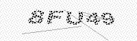 captchaImage